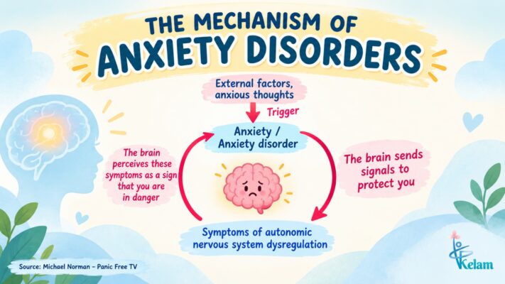 The mechanism of anxiety disorders and the smoke detector principle